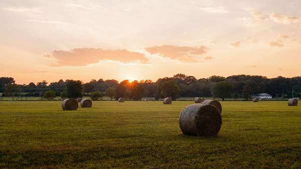 117 Acres of Land for Sale in Gurley, Alabama