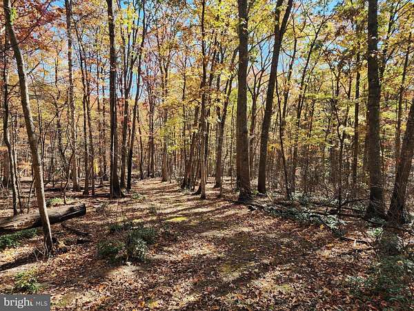 5.9 Acres of Recreational Land for Sale in Mathias, West Virginia