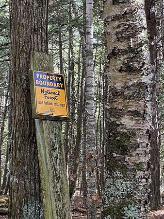 2 Acres of Residential Land for Sale in Rapid River, Michigan