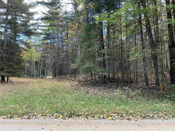 2 Acres of Residential Land for Sale in Rapid River, Michigan