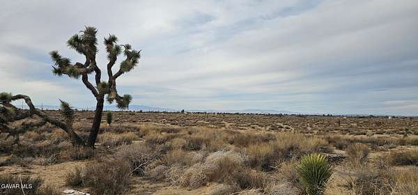 2.55 Acres of Commercial Land for Sale in Palmdale, California