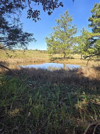 28.5 Acres of Land for Sale in Birch Tree, Missouri