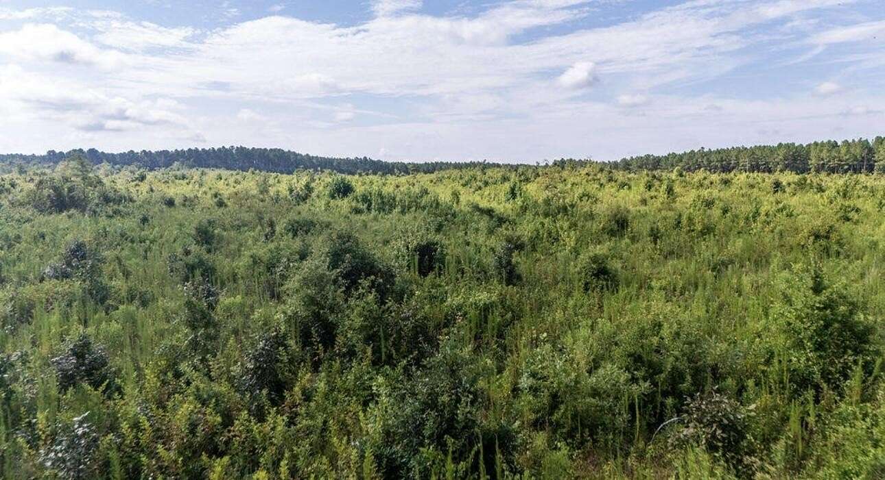 9 Acres of Land for Sale in Edgefield, South Carolina