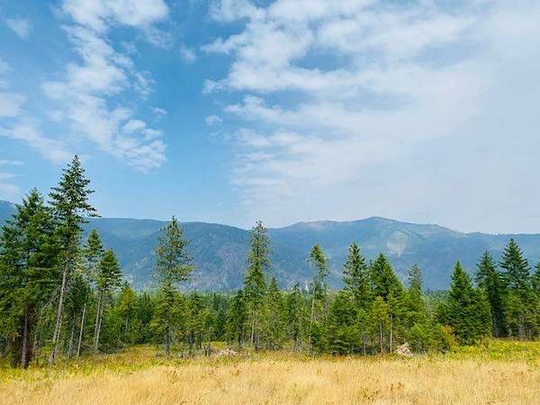 31.4 Acres of Recreational Land for Sale in Heron, Montana