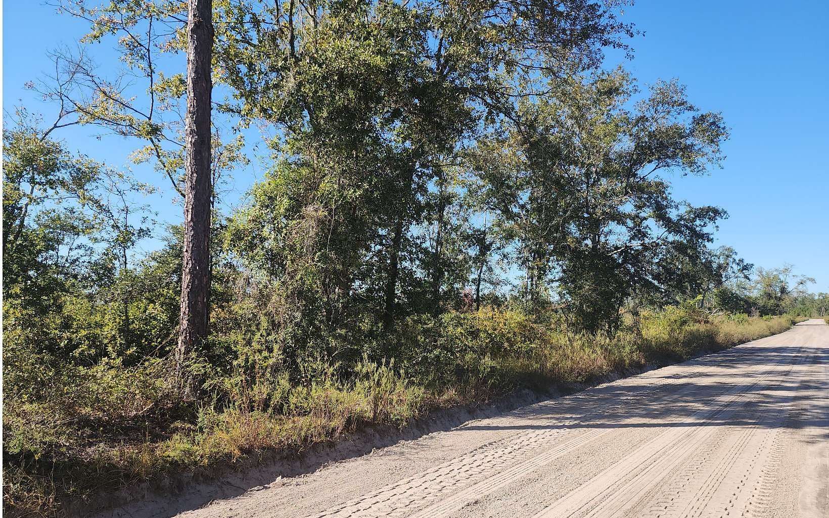40 Acres of Agricultural & Residential Land for Sale in Lake City, Florida