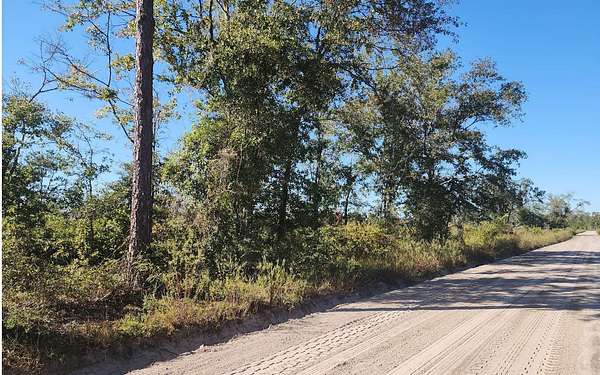 40 Acres of Agricultural Land for Sale in Lake City, Florida