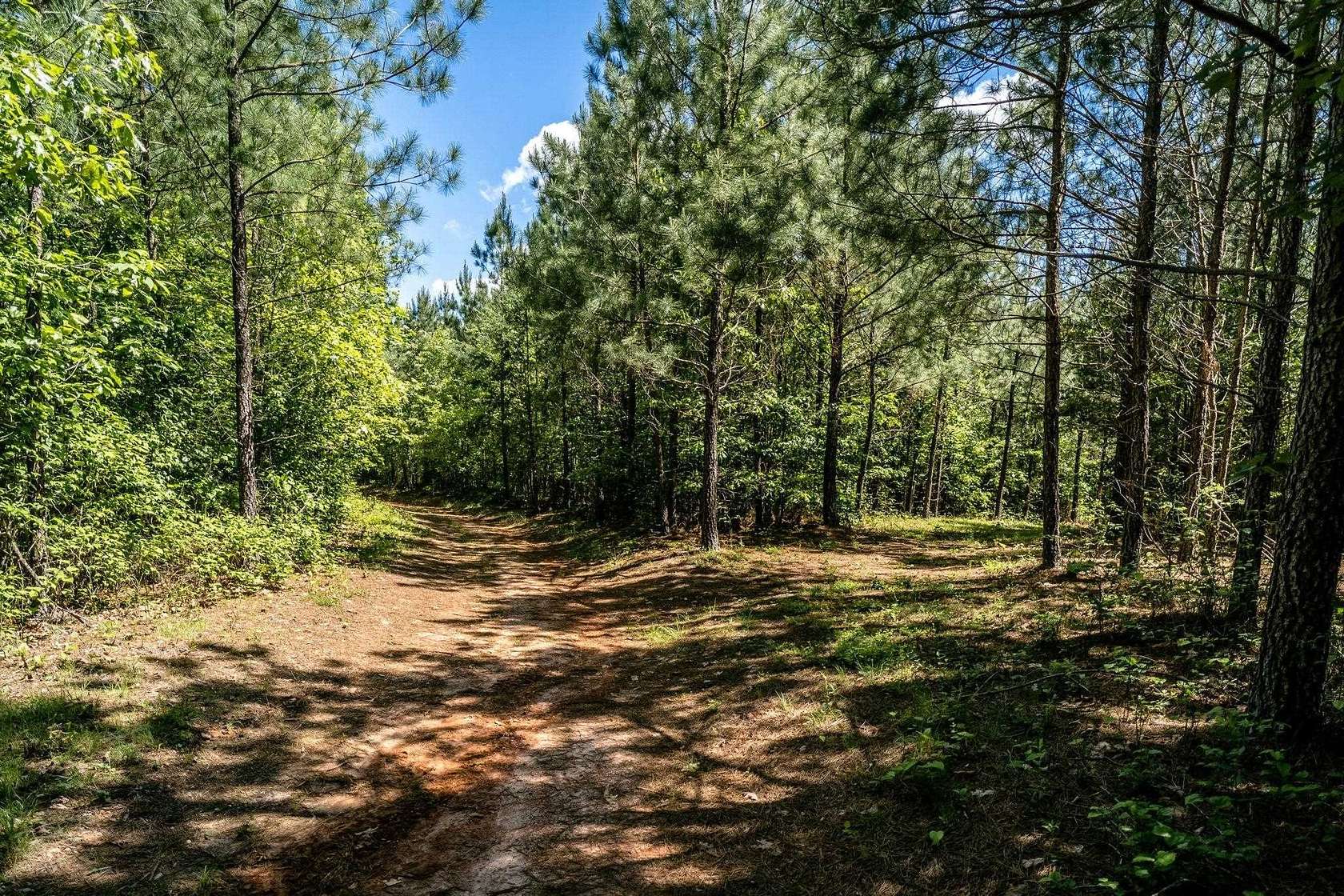 30.7 Acres of Agricultural Land for Sale in Schuyler, Virginia