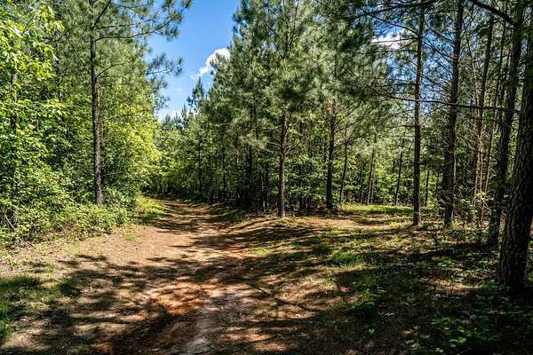 30.7 Acres of Agricultural Land for Sale in Schuyler, Virginia