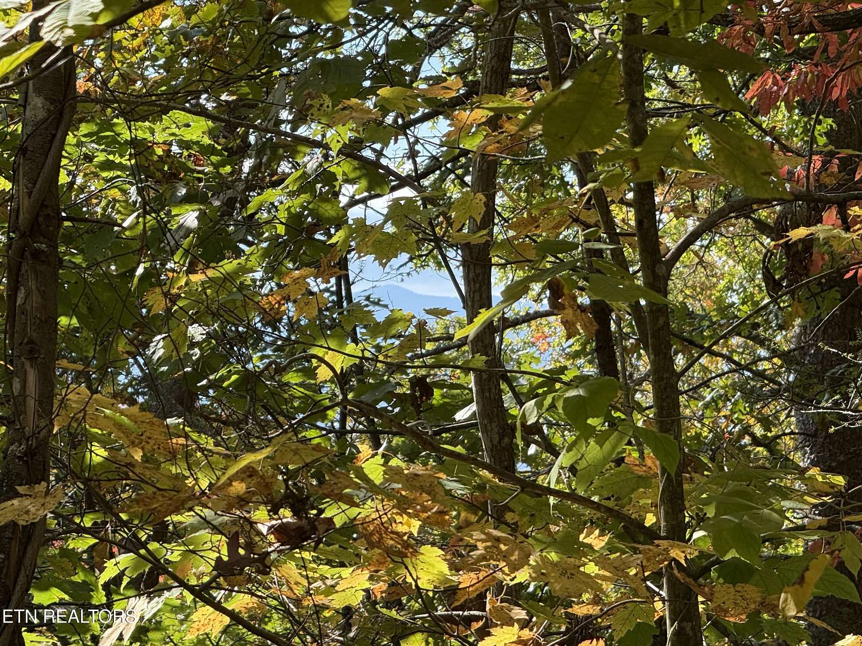 1.87 Acres of Land for Sale in Sevierville, Tennessee