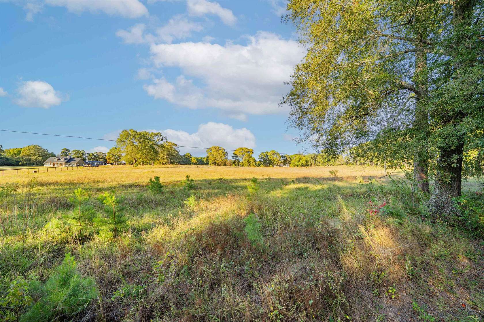 7 Acres of Residential Land for Sale in Hallsville, Texas