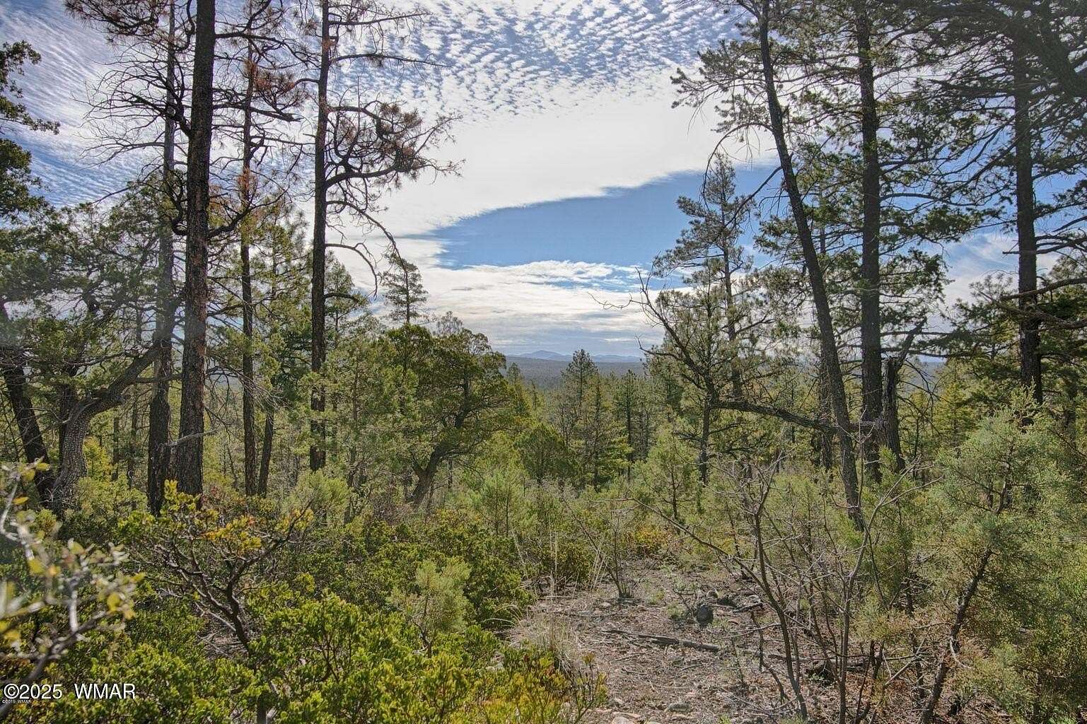16.3 Acres of Land for Sale in Lakeside, Arizona