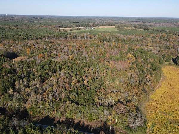 Residential Land for Sale in Skipwith, Virginia