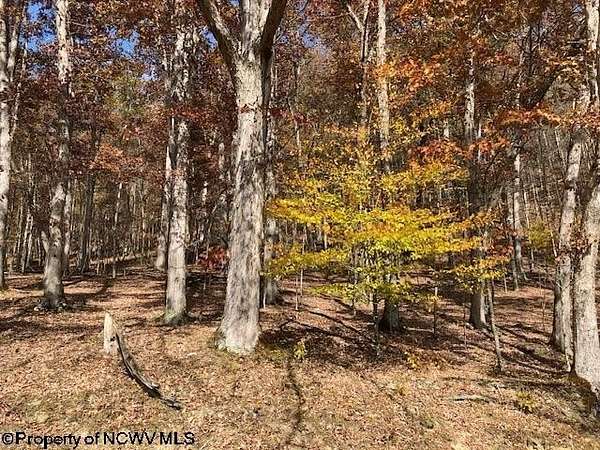 13 Acres of Recreational Land for Sale in Parsons, West Virginia