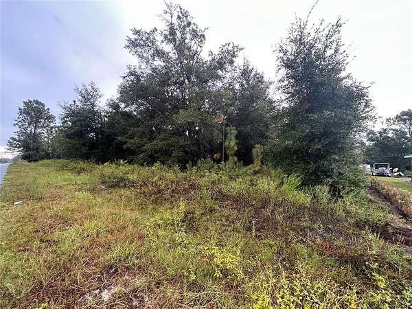 0.46 Acres of Residential Land for Sale in Ocala, Florida