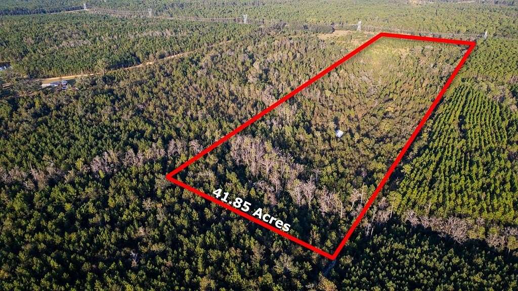 41.9 Acres of Recreational Land for Sale in Baxley, Georgia