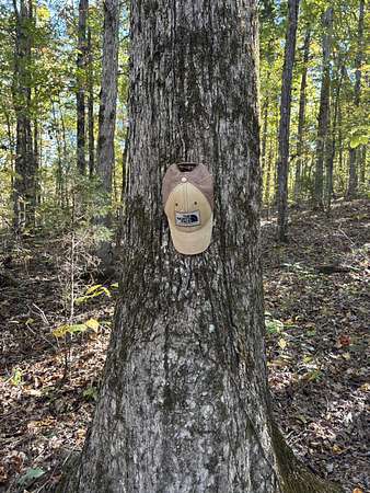 14 Acres of Recreational Land for Sale in Hohenwald, Tennessee