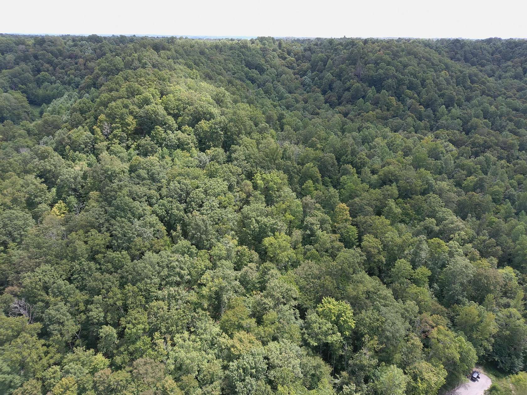30.2 Acres of Recreational Land for Sale in Lebanon, Kentucky