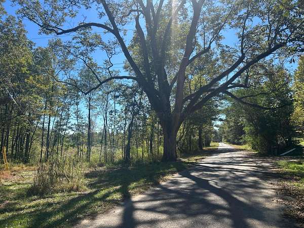 29 Acres of Recreational Land for Sale in Double Springs, Alabama