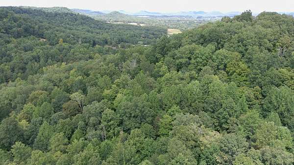 34.8 Acres of Recreational Land for Sale in Lebanon, Kentucky