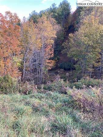 60.3 Acres of Recreational Land for Sale in Sugar Grove, North Carolina