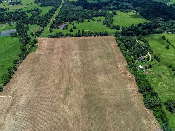 52 Acres of Land for Sale in Winnsboro, Texas