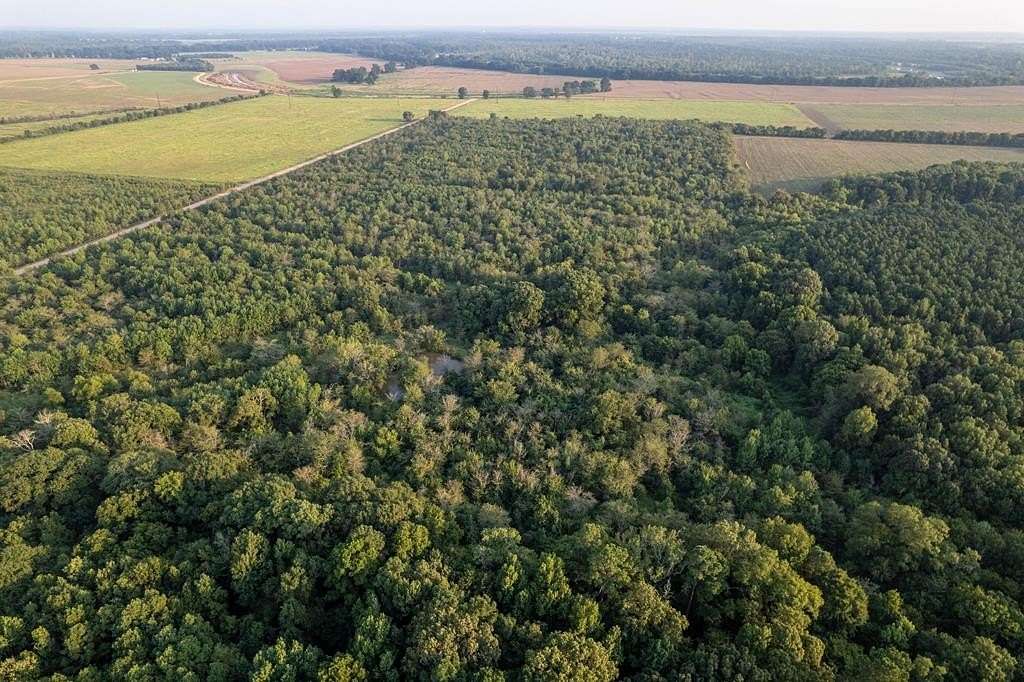 40 Acres of Recreational Land for Sale in Ogden, Arkansas