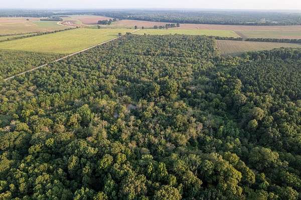 40 Acres of Recreational Land for Sale in Ogden, Arkansas