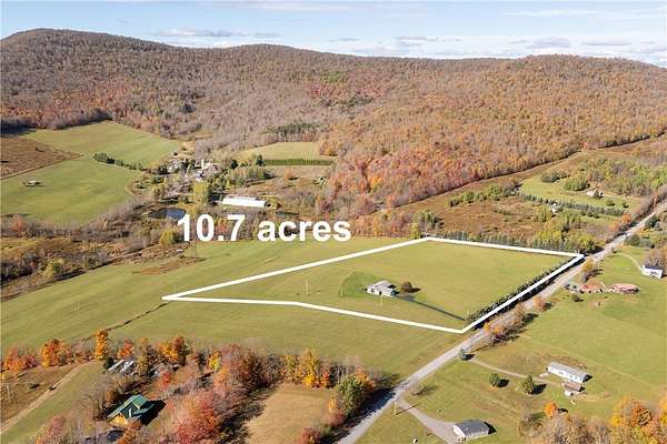 10.8 Acres of Land with Home for Sale in Hobart, New York