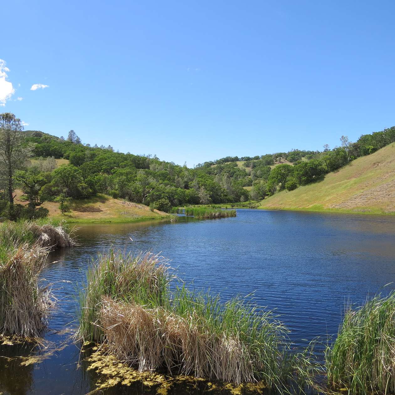 2,928 Acres of Land for Sale in Livermore, California