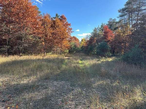 58 Acres of Recreational Land for Sale in Harrison, Michigan