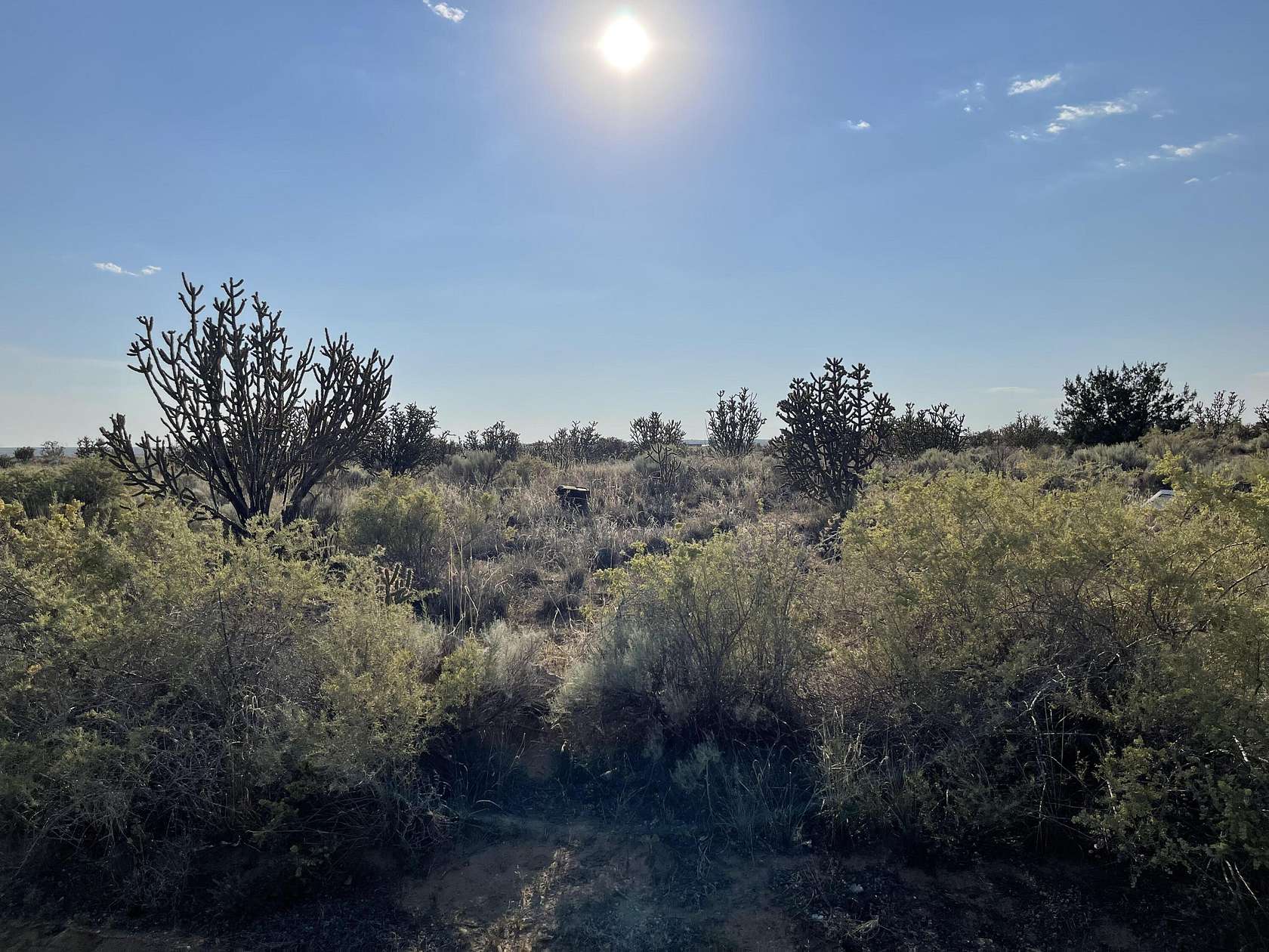 1 Acre of Residential Land for Sale in Rio Rancho, New Mexico