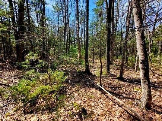 23.7 Acres of Recreational Land for Sale in Wells, Maine