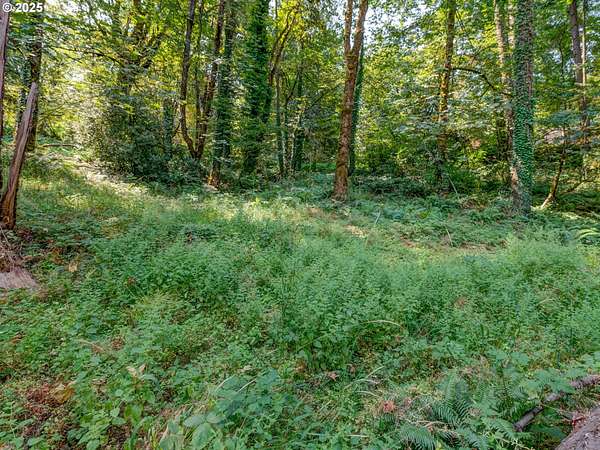 0.64 Acres of Residential Land for Sale in Eugene, Oregon