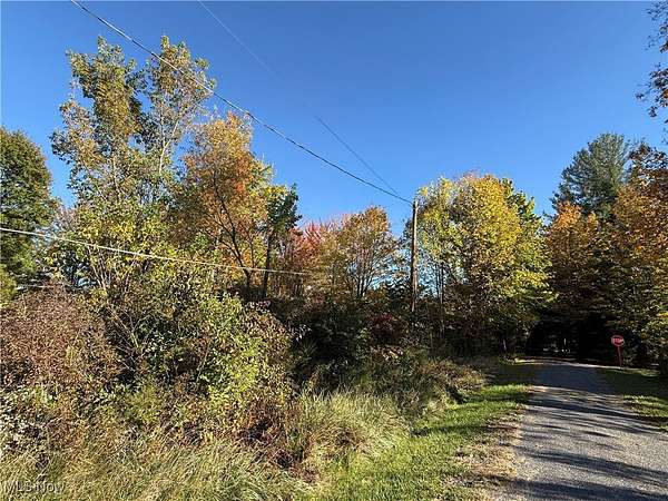 0.39 Acres of Residential Land for Sale in Andover, Ohio