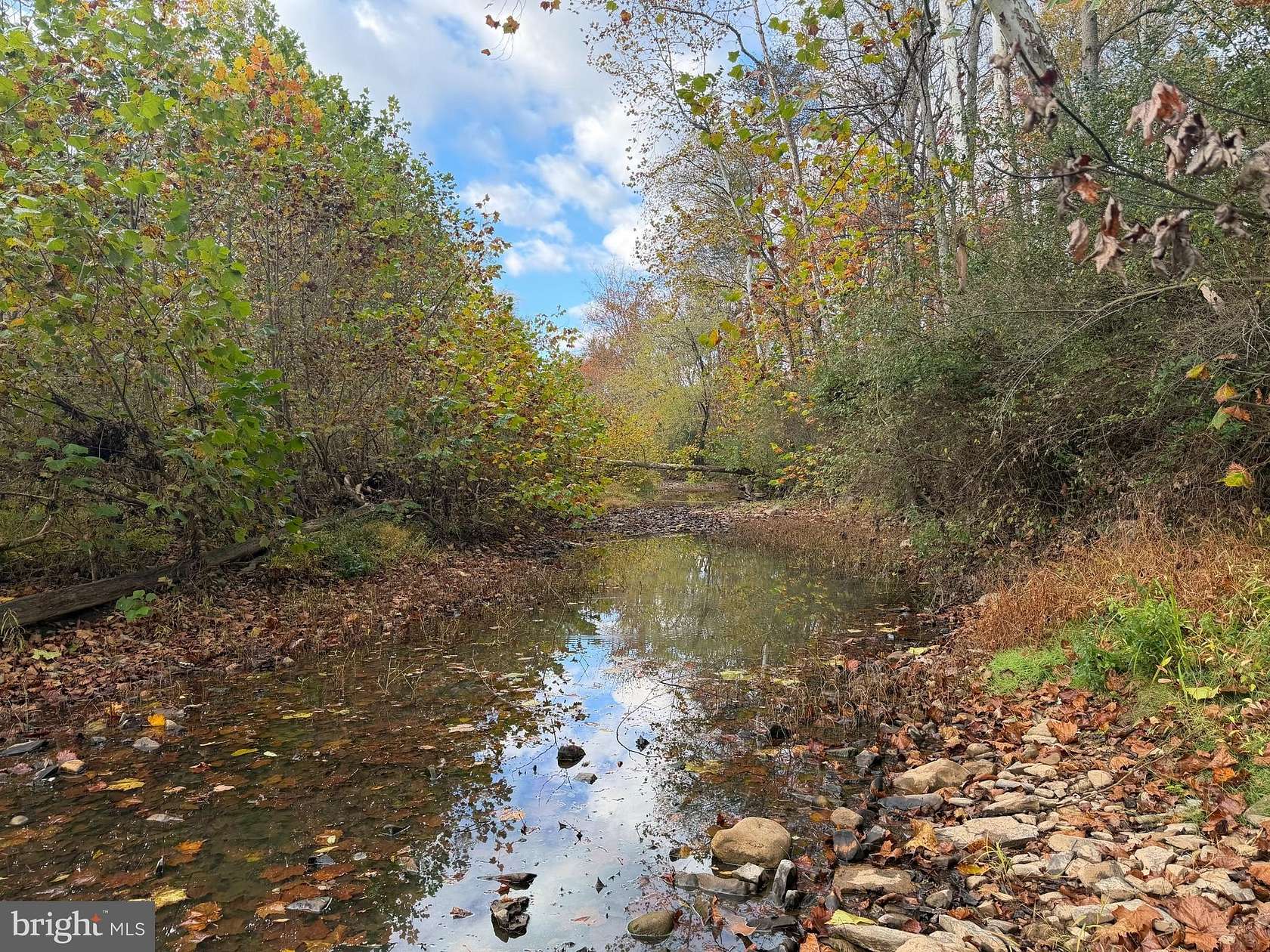 178 Acres of Land for Sale in Paw Paw, West Virginia