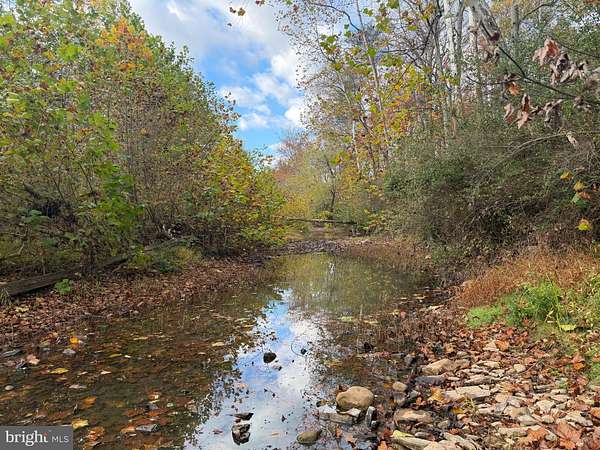 178 Acres of Land for Sale in Paw Paw, West Virginia