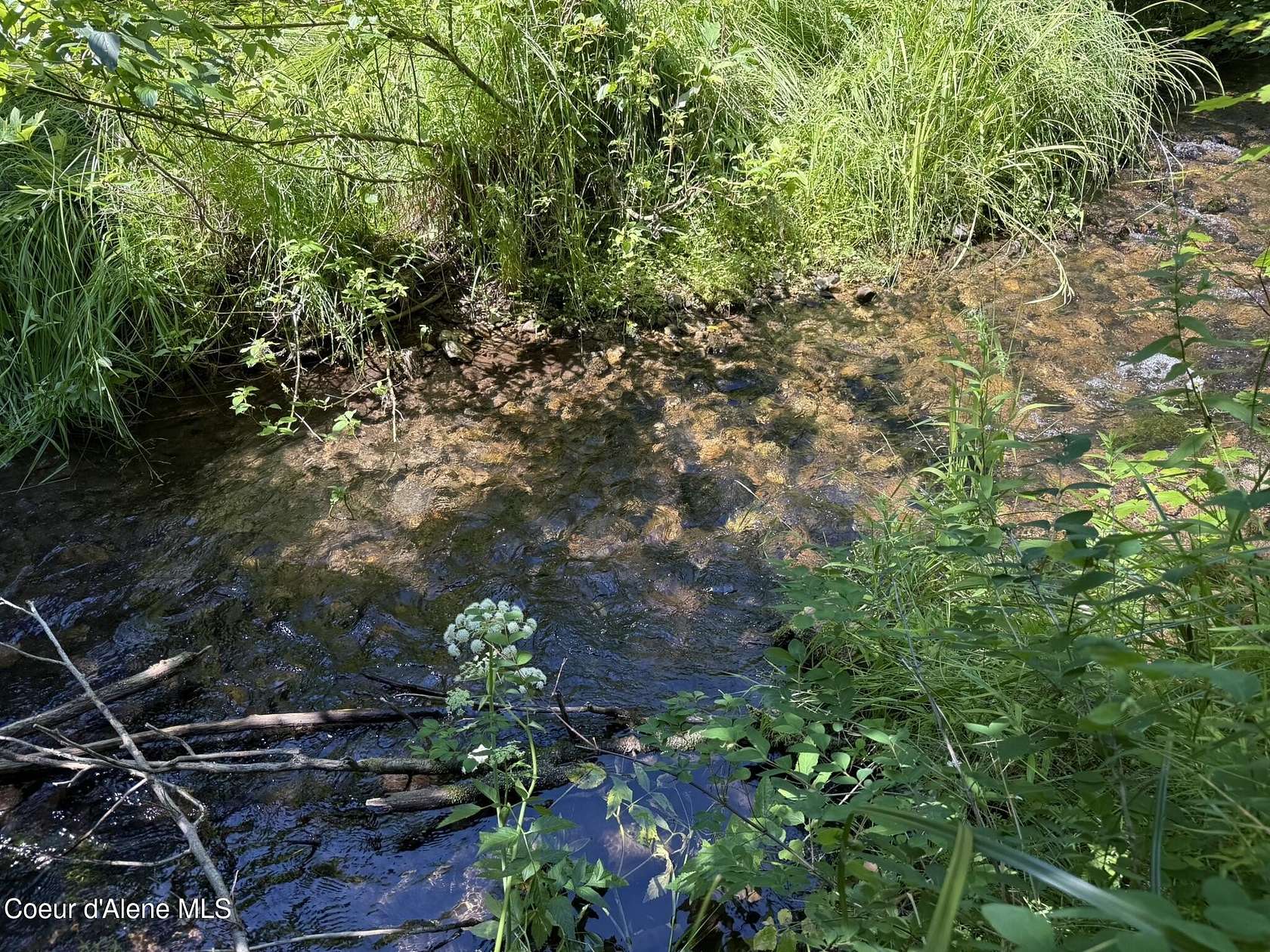 12.1 Acres of Recreational Land for Sale in Fernwood, Idaho