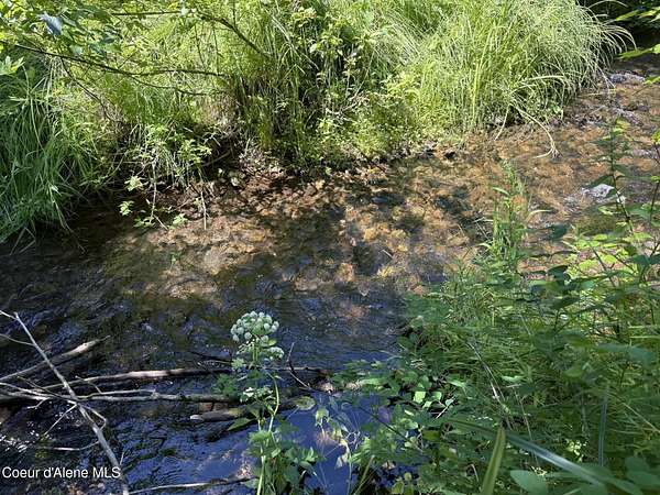 12.1 Acres of Recreational Land for Sale in Fernwood, Idaho