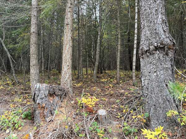 5 Acres of Residential Land for Sale in Bonners Ferry, Idaho