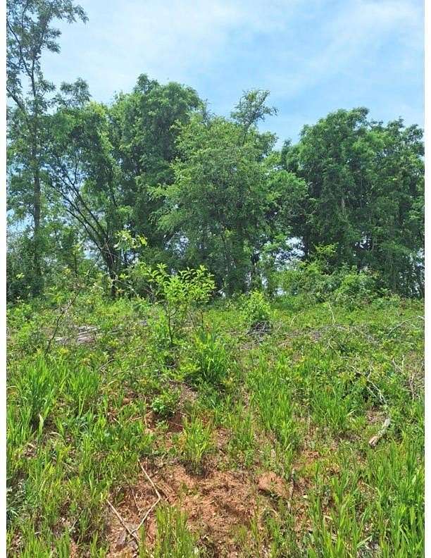 38.7 Acres of Recreational Land for Sale in Abbeville, South Carolina