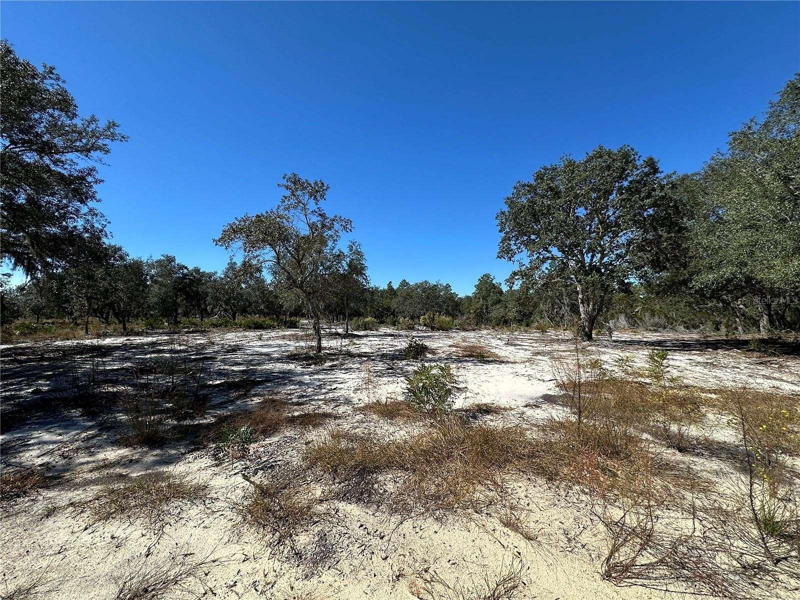 1.25 Acres of Residential Land for Sale in Bronson, Florida