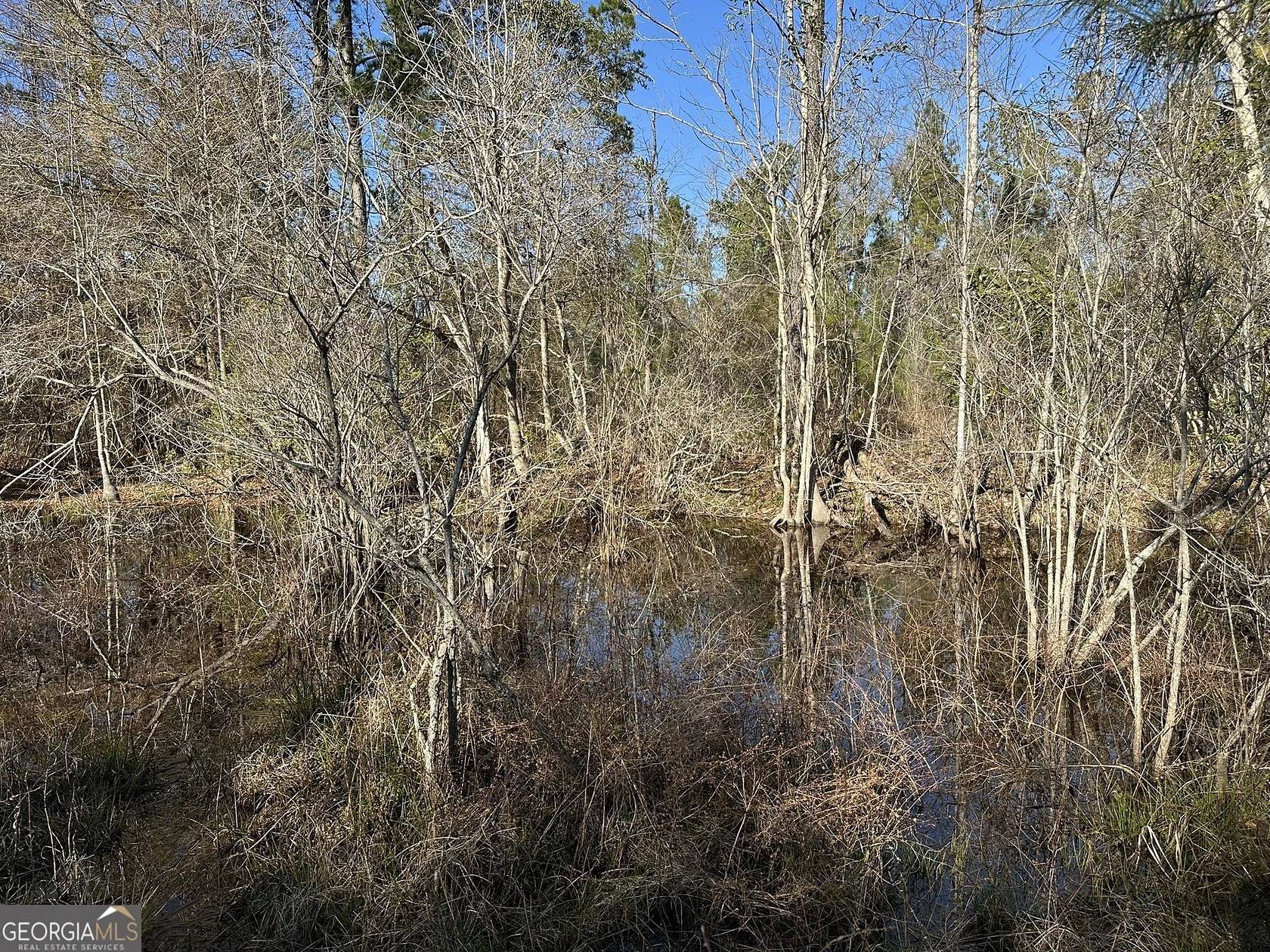 24 Acres of Recreational Land for Sale in Gordon, Alabama