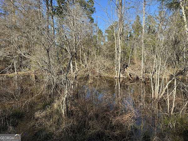 24 Acres of Land for Sale in Gordon, Alabama