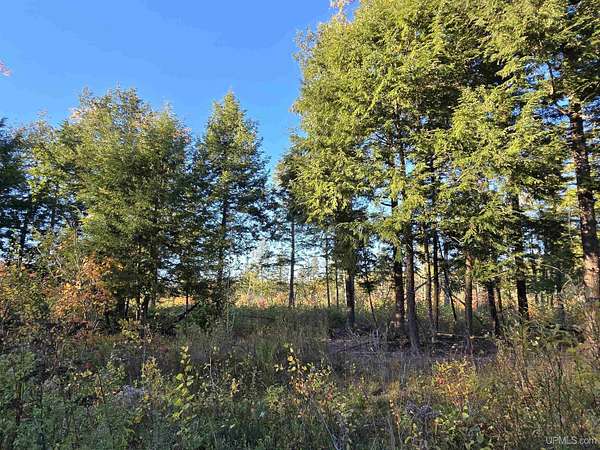 38 Acres of Recreational Land for Sale in Baraga, Michigan
