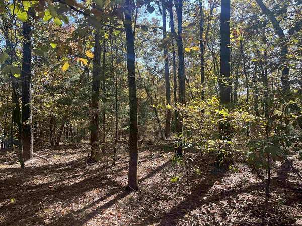 9.12 Acres of Residential Land for Sale in Norman, Arkansas