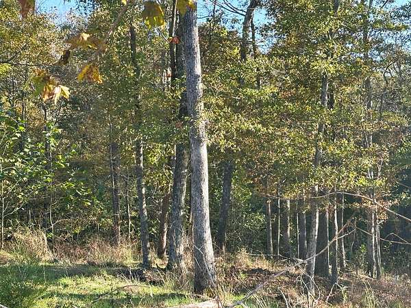 5.22 Acres of Land for Auction in Campbellsville, Kentucky