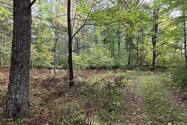 2.68 Acres of Land for Sale in Pembine, Wisconsin
