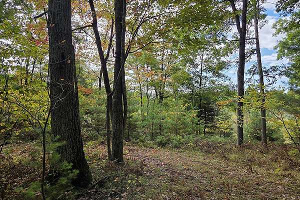 3.18 Acres of Land for Sale in Pembine, Wisconsin