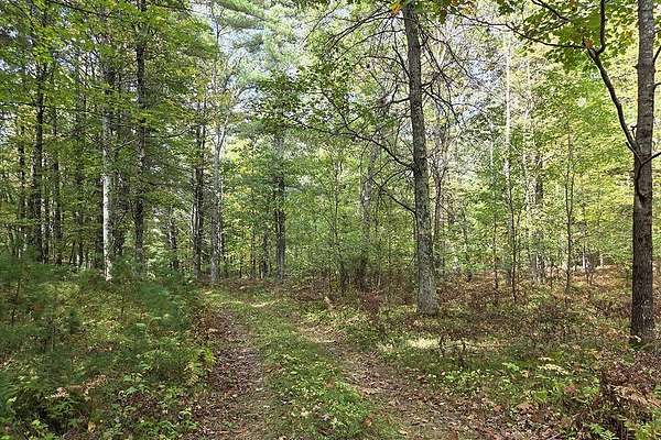 4 Acres of Land for Sale in Pembine, Wisconsin