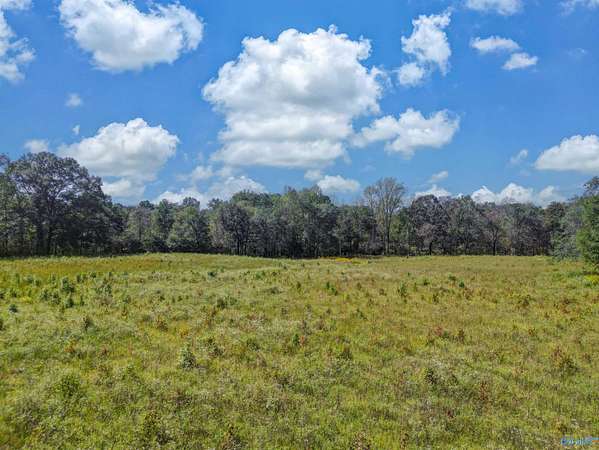 16 Acres of Land for Sale in Horton, Alabama